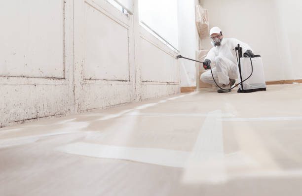 24/7 Emergency Mold Remediation experts in Winchester, TN