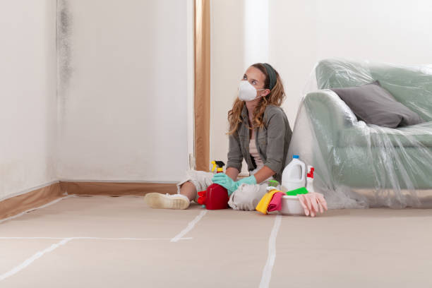 Reliable Mold Remediation contractor in Winchester, TN by WQB Mold Removal