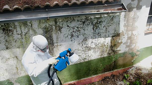 Top rated local Mold Remediation specialists in Winchester, TN